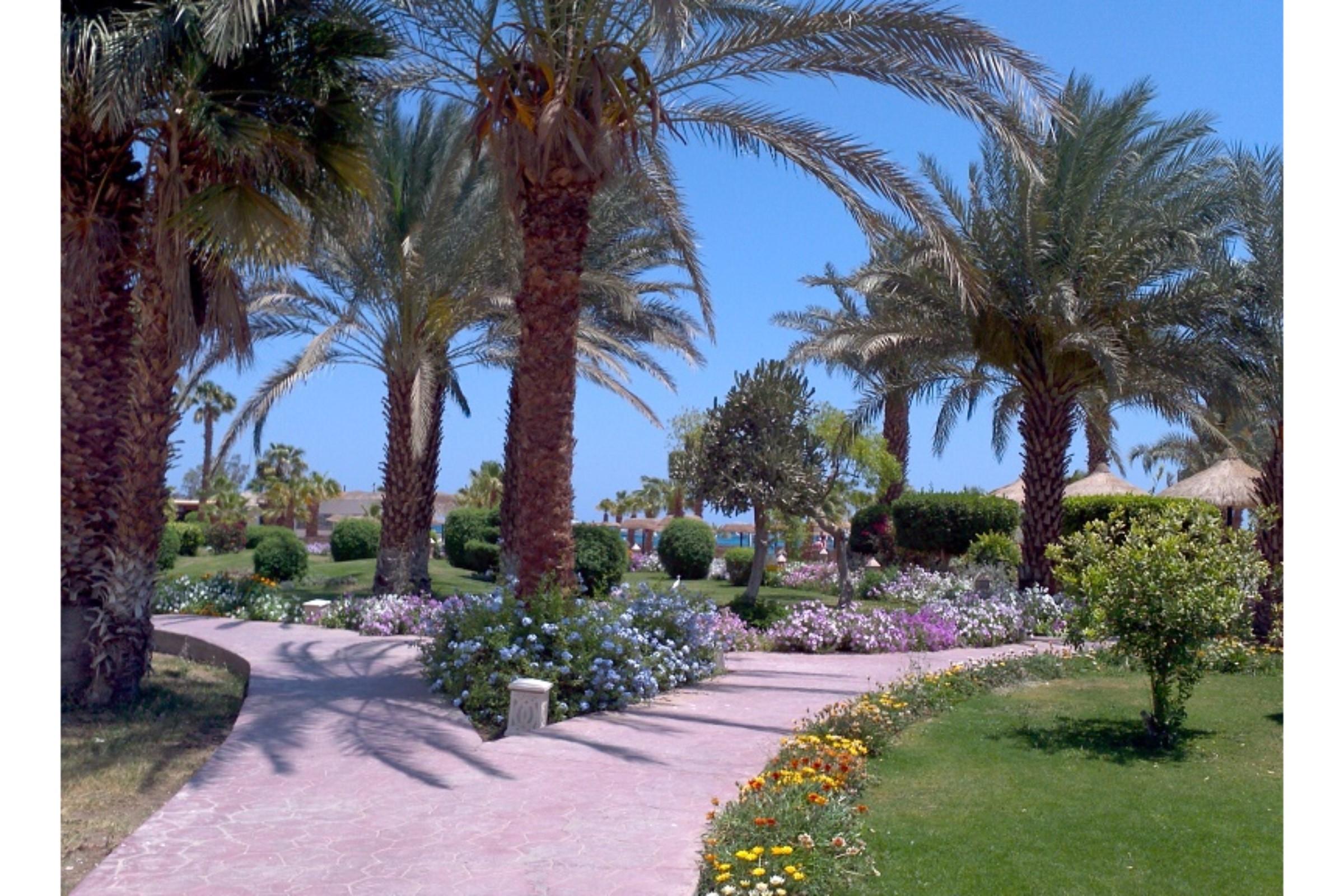 Lotus Bay Resort Hurghada Exteriör bild